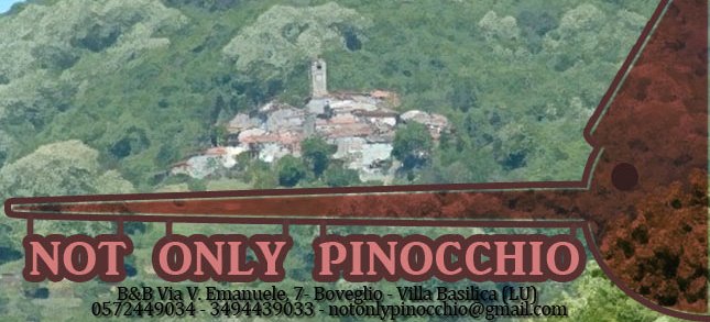 BnB Not only Pinocchio, Lucca, Italy